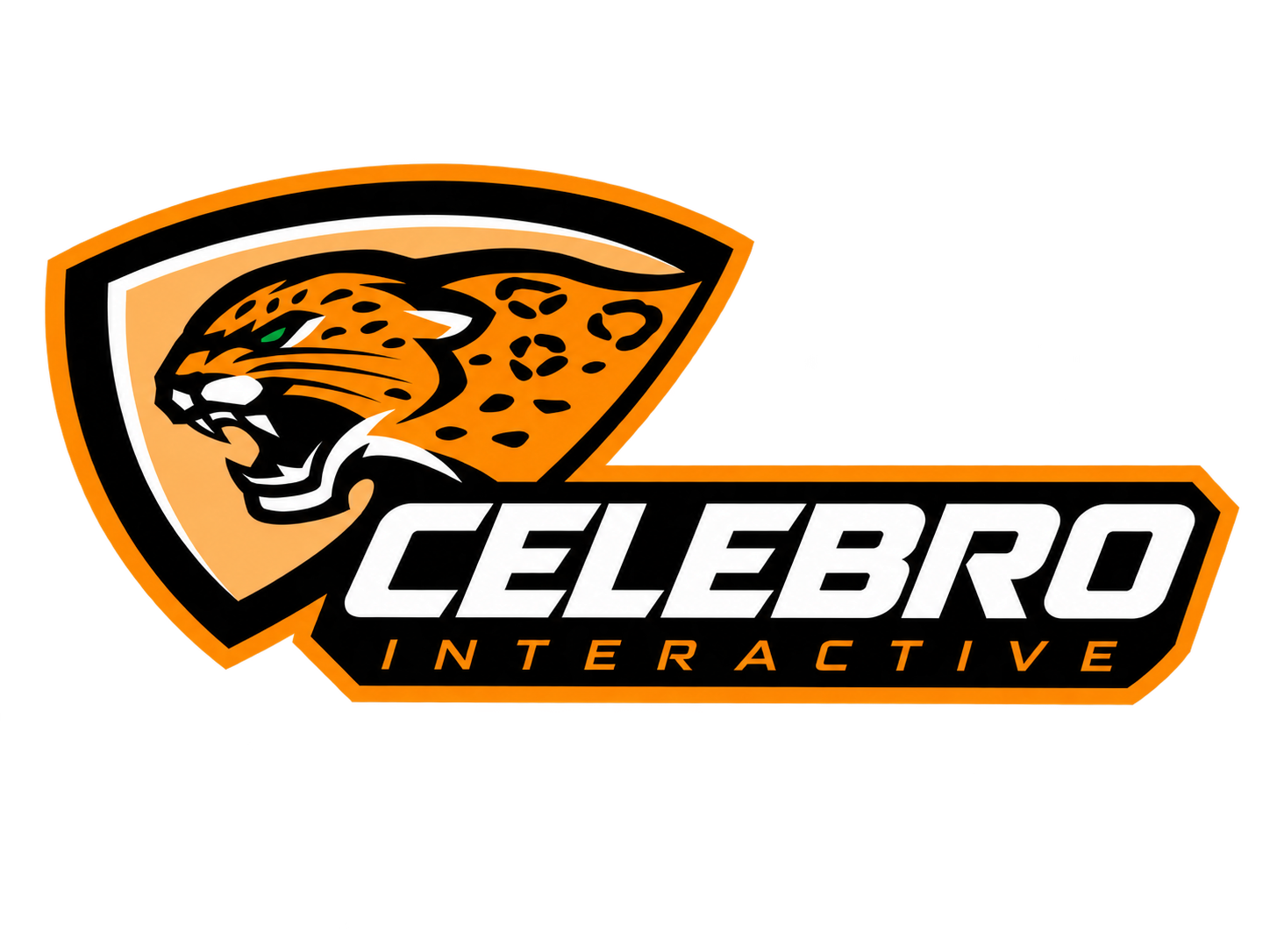 Celebro Interactive